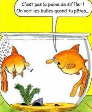 lol!